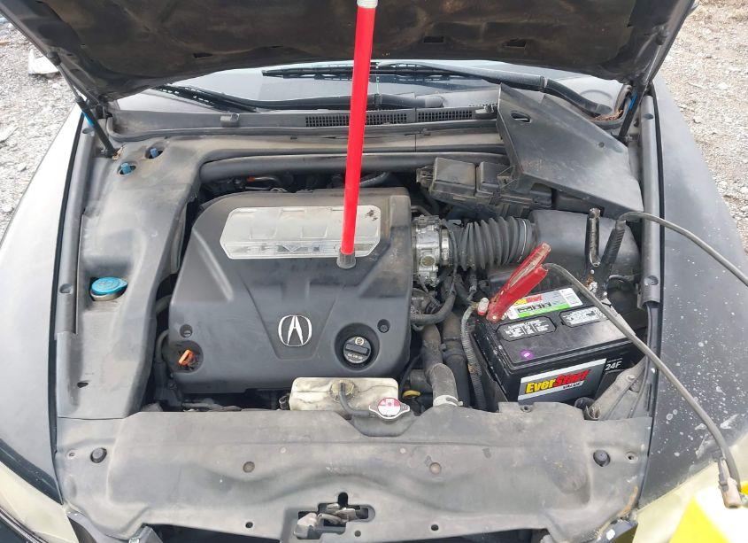 Photo 10 of 2007 Acura Tl 3.2 (VIN 19UUA66297A032428)