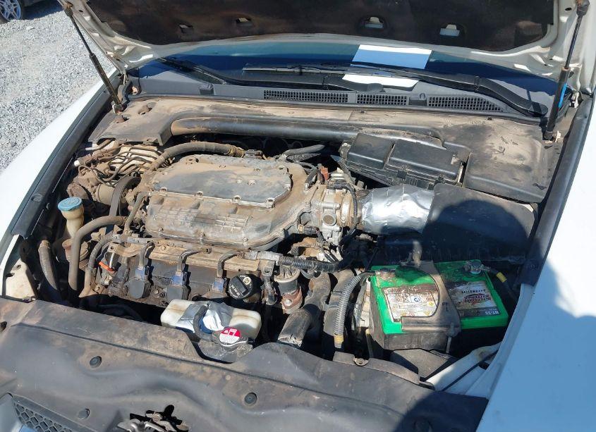 Photo 10 of 2008 Acura Tl 3.2 (VIN 19UUA66298A007515)