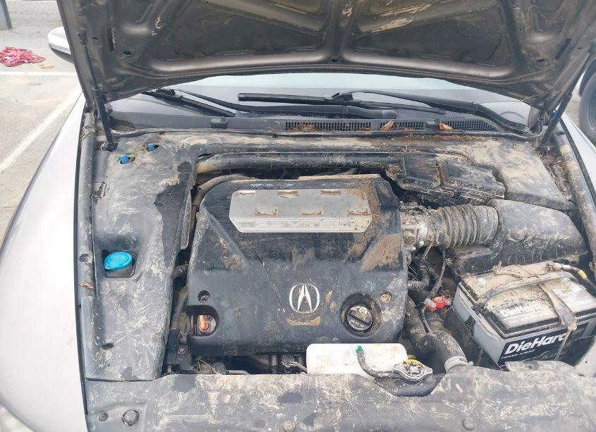 Photo 10 of 2008 Acura Tl 3.2 (VIN 19UUA66298A017428)