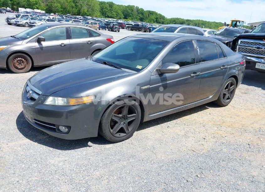 Photo 2 of 2008 Acura Tl (VIN 19UUA66298A031068)