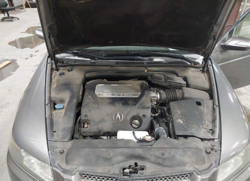 Photo 10 of 2008 Acura Tl 3.2 (VIN 19UUA66298A054642)