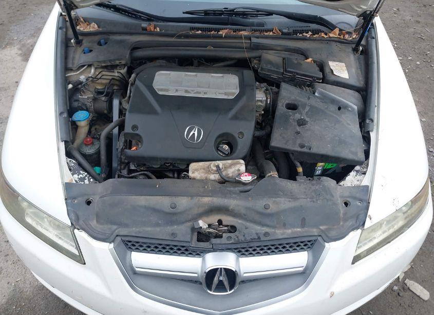 Photo 10 of 2008 Acura Tl 3.2 (VIN 19UUA662X8A003988)