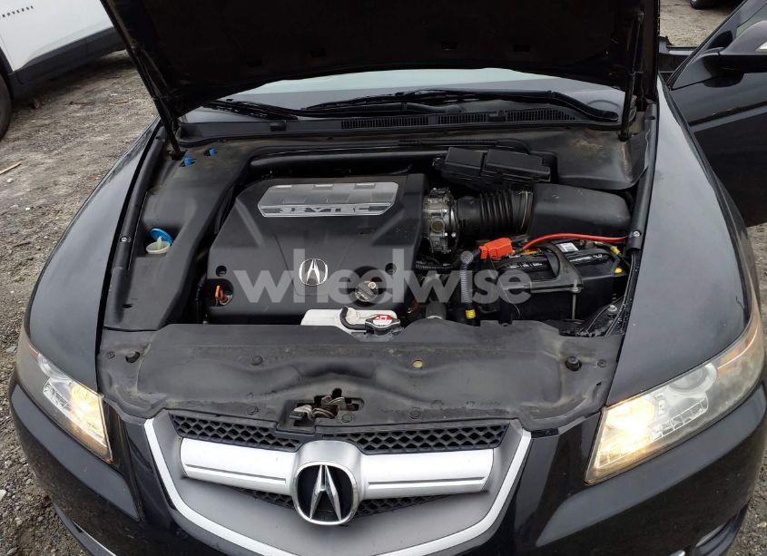 Photo 10 of 2008 Acura Tl 3.2 (VIN 19UUA662X8A038112)