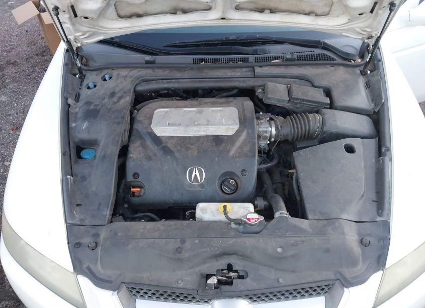 Photo 10 of 2008 Acura Tl 3.2 (VIN 19UUA662X8A043813)