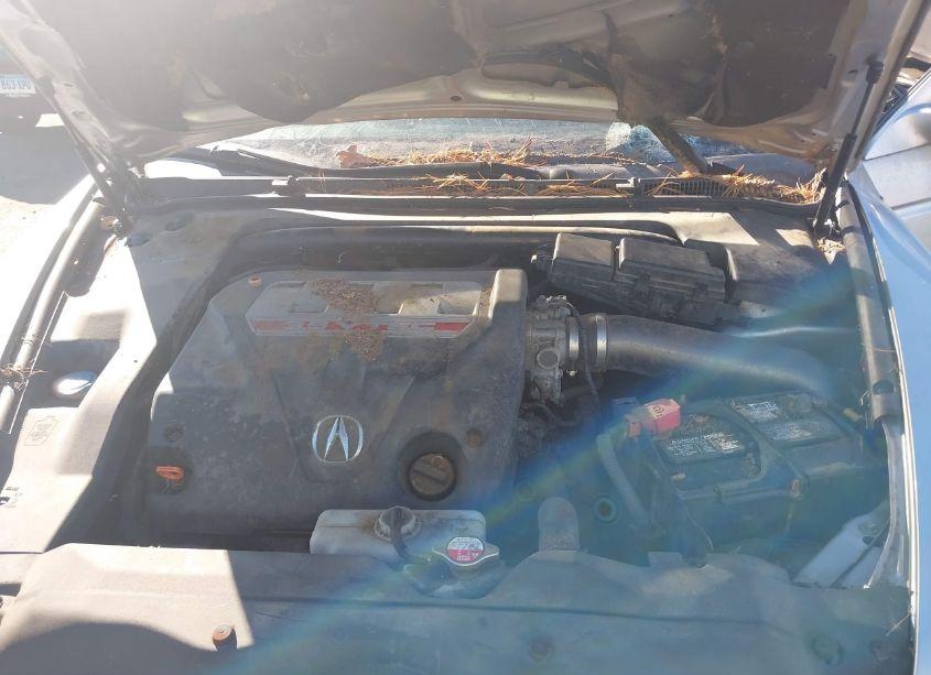 Photo 10 of 2007 Acura Tl TYPE S (VIN 19UUA75557A041824)