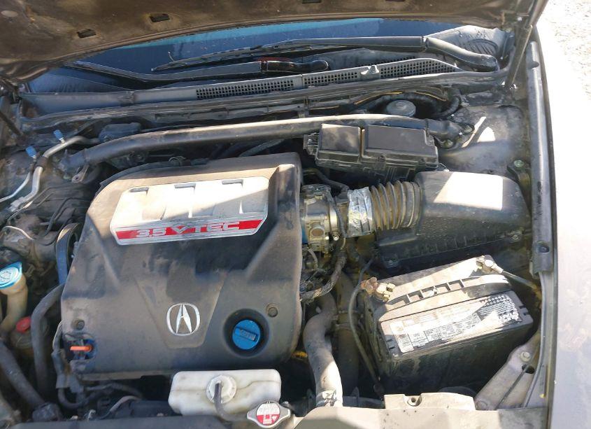 Photo 10 of 2007 Acura Tl (VIN 19UUA76577A000903)