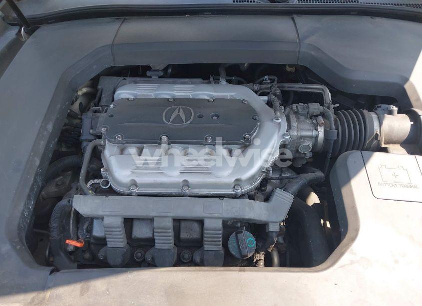 Photo 10 of 2009 Acura Tl 3.5 (VIN 19UUA86219A025195)