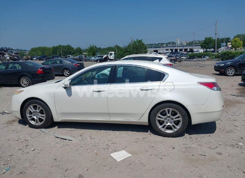 Photo 13 of 2009 Acura Tl 3.5 (VIN 19UUA86219A025195)