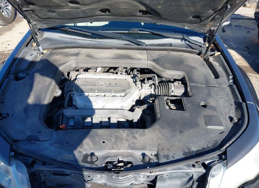 Photo 10 of 2009 Acura Tl 3.5 (VIN 19UUA86229A004596)