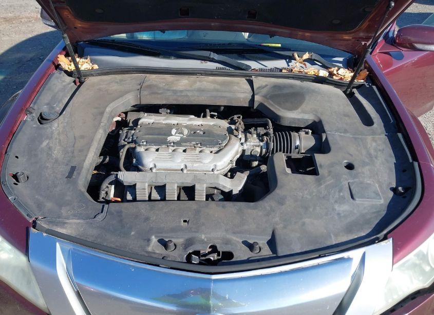 Photo 10 of 2009 Acura Tl 3.5 (VIN 19UUA86239A021598)