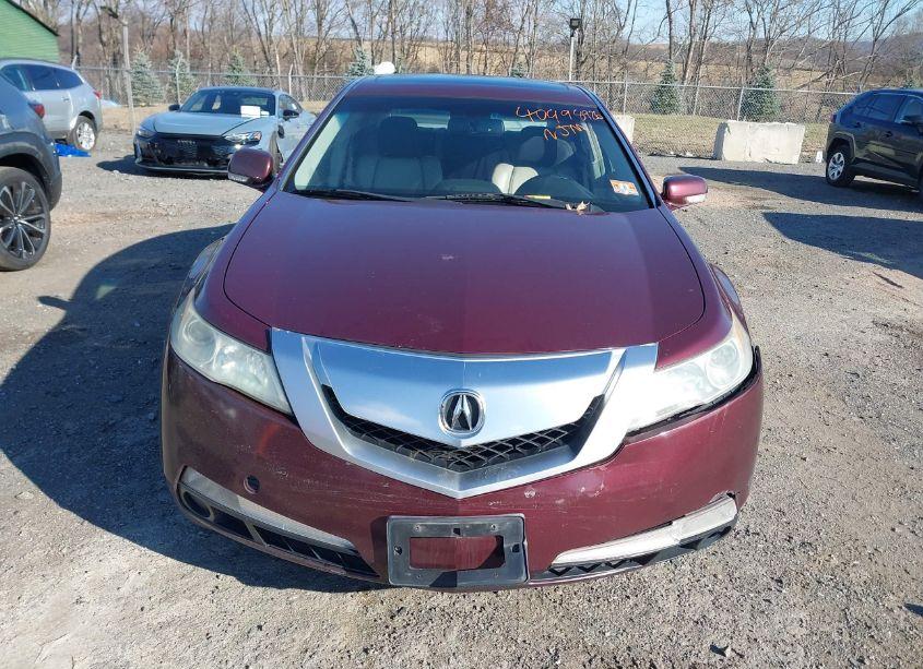 Photo 12 of 2009 Acura Tl 3.5 (VIN 19UUA86239A021598)