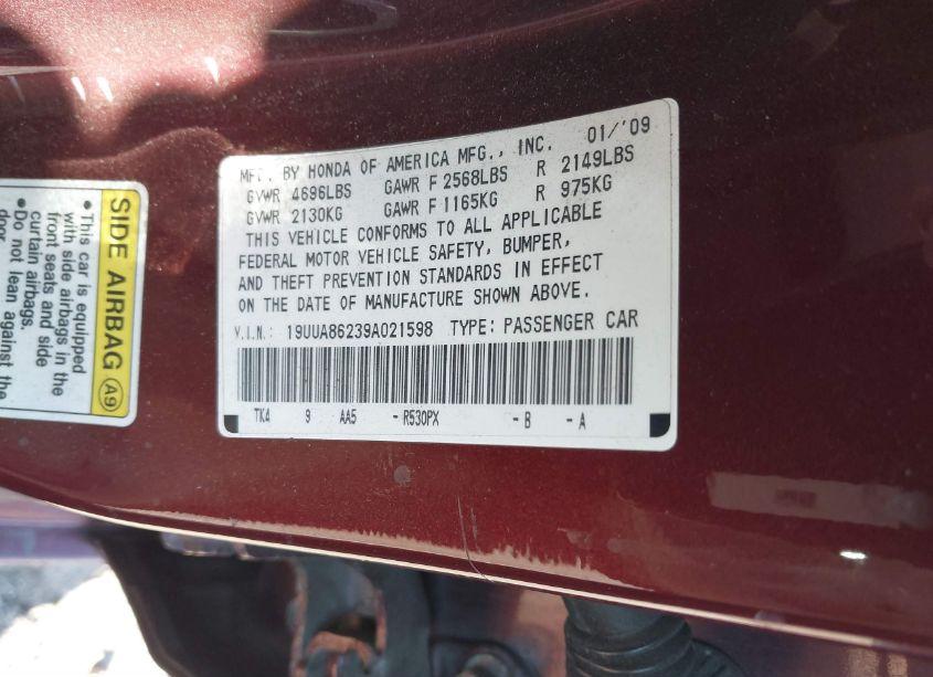 Photo 9 of 2009 Acura Tl 3.5 (VIN 19UUA86239A021598)