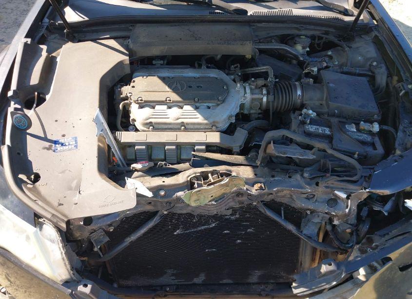 Photo 10 of 2009 Acura Tl 3.5 (VIN 19UUA86259A018556)