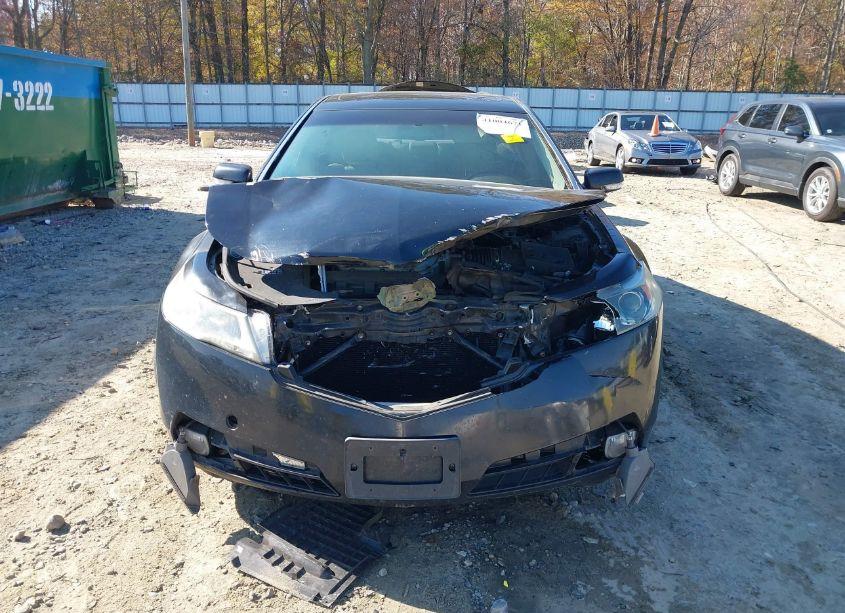 Photo 12 of 2009 Acura Tl 3.5 (VIN 19UUA86259A018556)