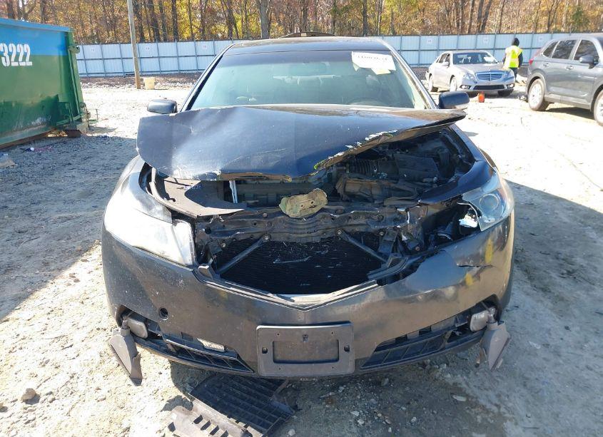 Photo 6 of 2009 Acura Tl 3.5 (VIN 19UUA86259A018556)