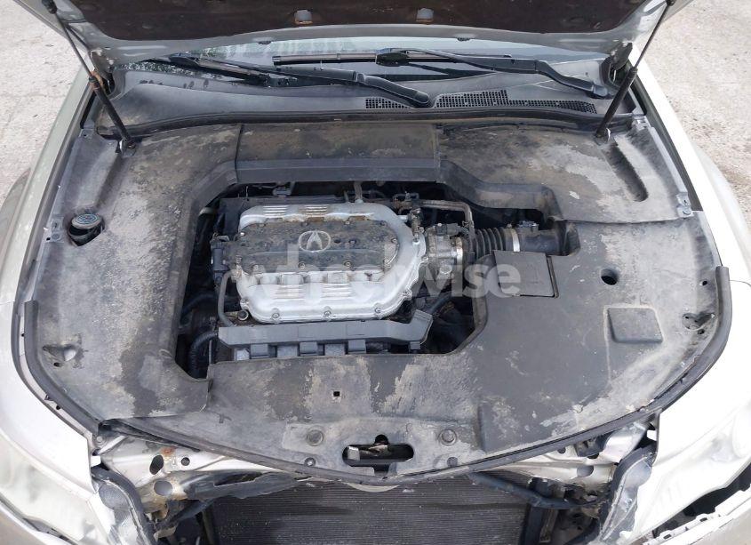 Photo 10 of 2009 Acura Tl 3.5 (A5) (VIN 19UUA86269A018825)