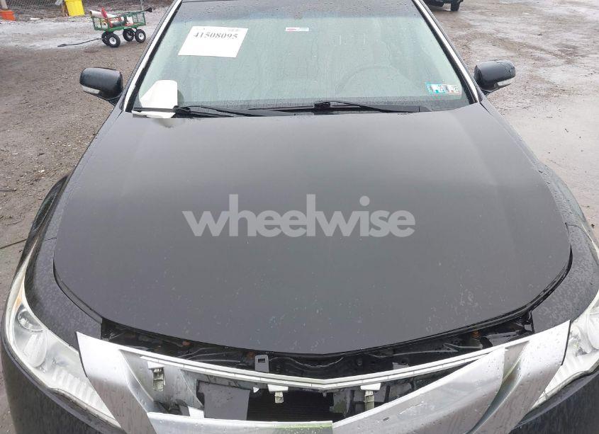 Photo 10 of 2009 Acura Tl 3.5 (VIN 19UUA86519A004924)