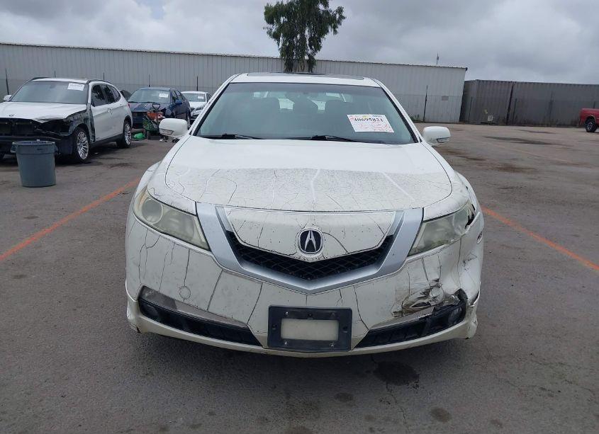 Photo 12 of 2009 Acura Tl 3.5 (VIN 19UUA86529A018590)