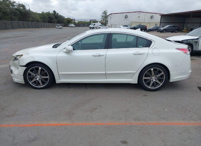 Photo 14 of 2009 Acura Tl 3.5 (VIN 19UUA86529A018590)