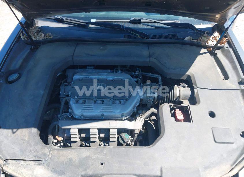 Photo 10 of 2009 Acura Tl 3.5 (VIN 19UUA86539A021126)