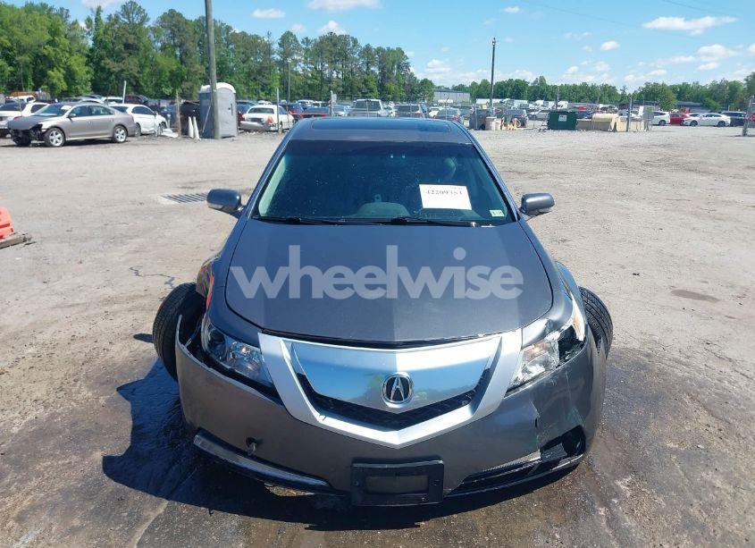 Photo 12 of 2009 Acura Tl 3.5 (VIN 19UUA86539A021126)