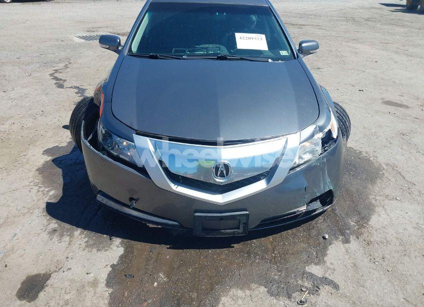 Photo 6 of 2009 Acura Tl 3.5 (VIN 19UUA86539A021126)