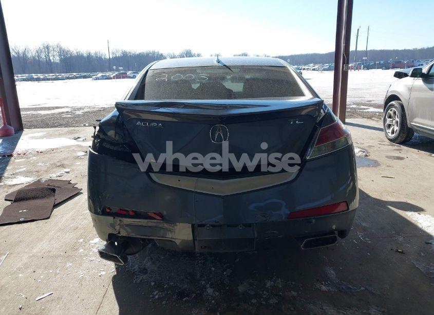 Photo 17 of 2009 Acura Tl 3.5 (VIN 19UUA86539A022003)