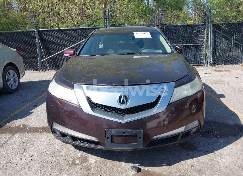 Photo 6 of 2009 Acura Tl 3.5 (VIN 19UUA86549A016873)