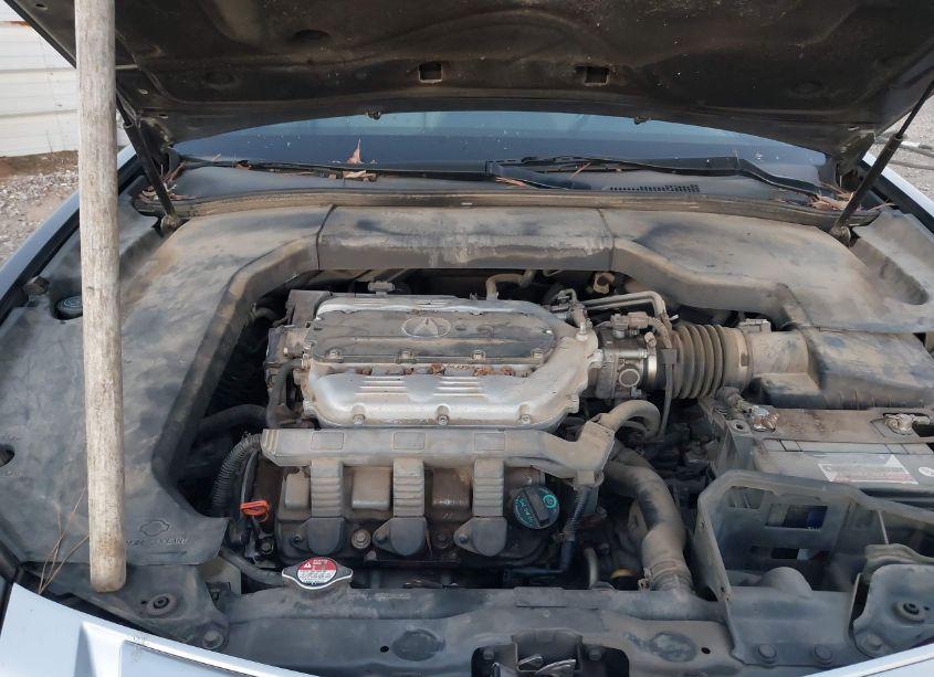Photo 10 of 2009 Acura Tl 3.5 (VIN 19UUA86559A003310)