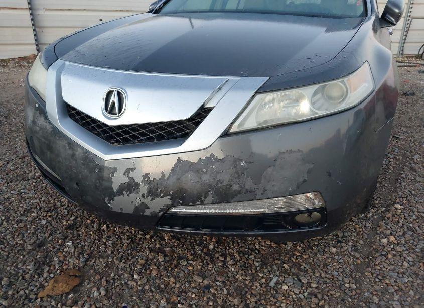 Photo 6 of 2009 Acura Tl 3.5 (VIN 19UUA86559A003310)