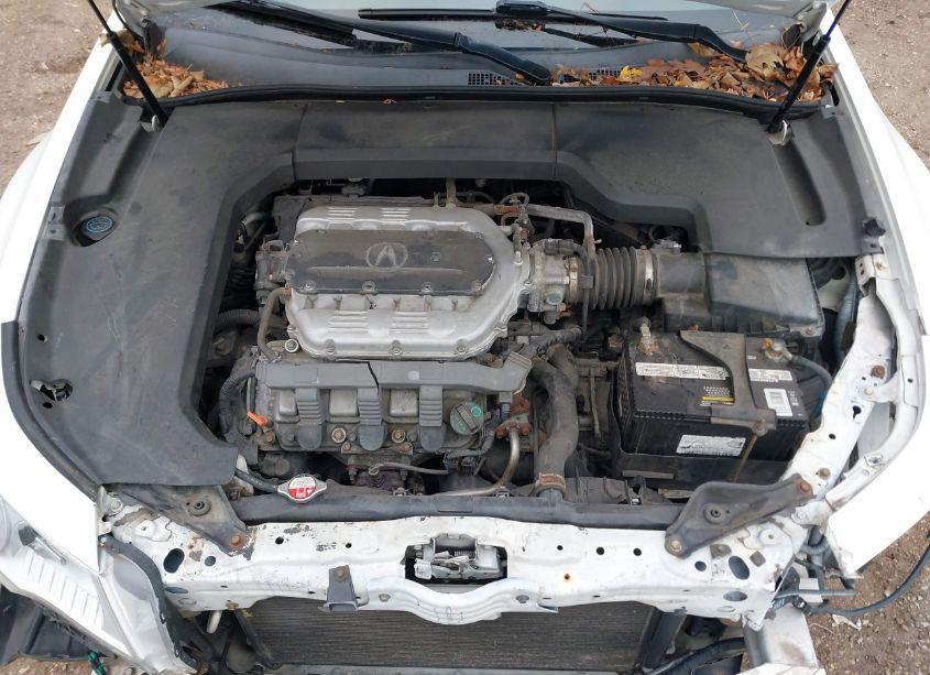 Photo 10 of 2009 Acura Tl 3.5 (VIN 19UUA86559A004134)