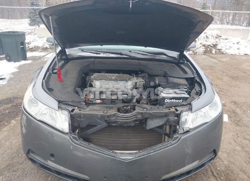 Photo 10 of 2009 Acura Tl 3.5 (VIN 19UUA86559A012993)