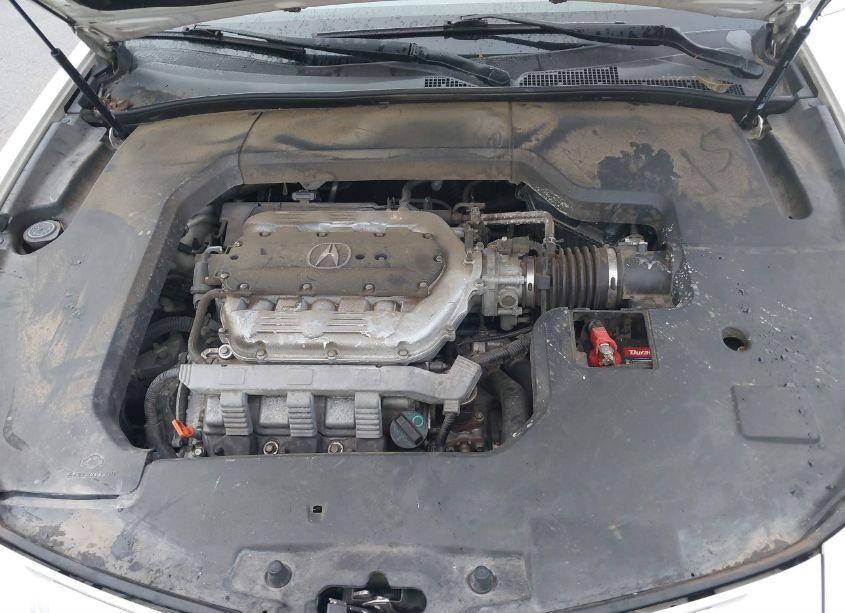 Photo 10 of 2009 Acura Tl 3.5 (VIN 19UUA86569A005714)