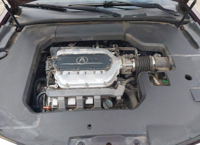 Photo 10 of 2009 Acura Tl 3.5 (VIN 19UUA86569A017958)