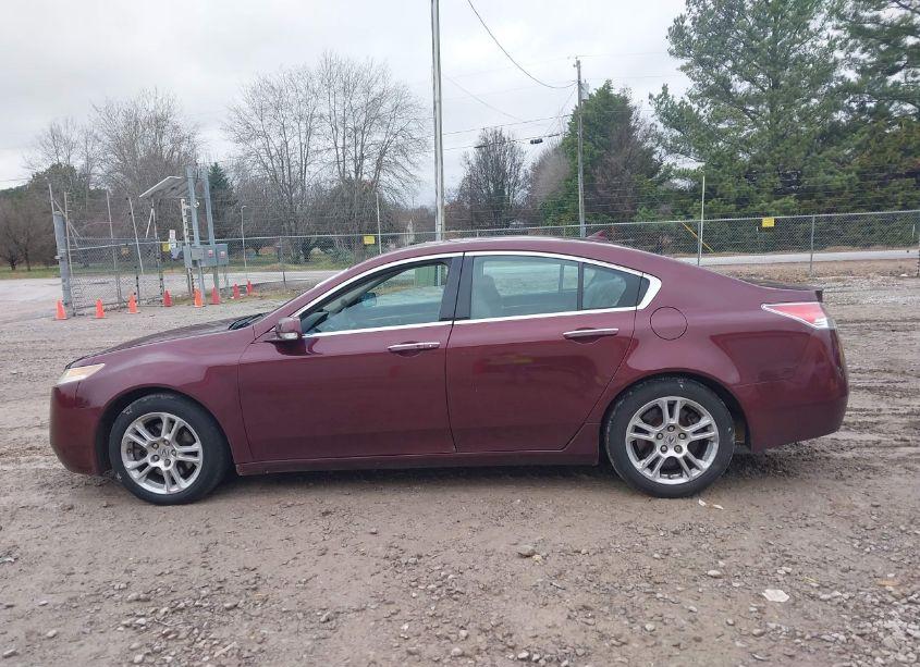 Photo 15 of 2009 Acura Tl 3.5 (VIN 19UUA86569A017958)