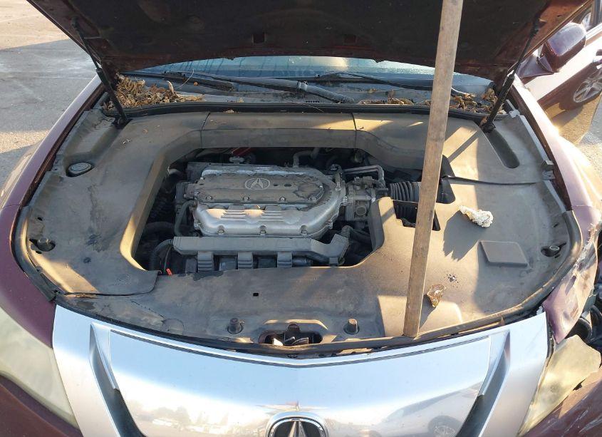 Photo 10 of 2009 Acura Tl 3.5 (VIN 19UUA865X9A000385)
