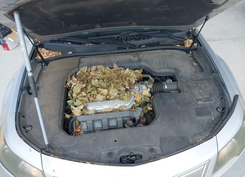 Photo 10 of 2012 Acura Tl 3.5 (VIN 19UUA8F25CA017849)