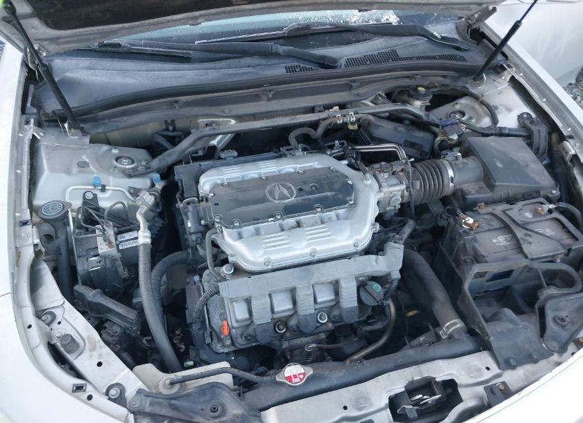 Photo 10 of 2010 Acura Tl 3.5 (VIN 19UUA8F56AA011730)