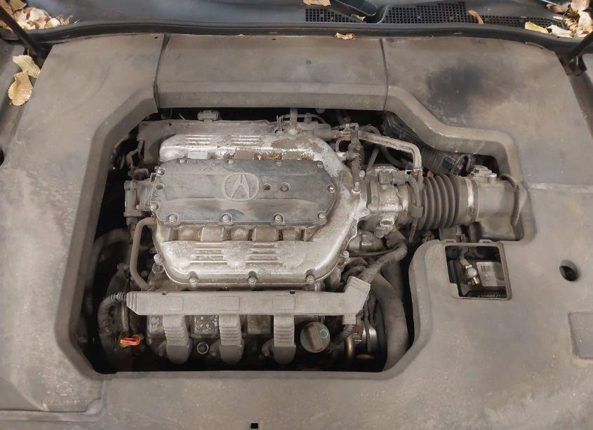 Photo 10 of 2010 Acura Tl 3.5 (VIN 19UUA8F56AA026311)