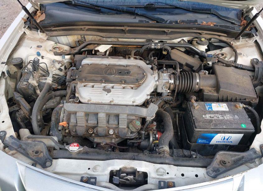 Photo 10 of 2010 Acura Tl 3.5 (VIN 19UUA8F58AA003015)