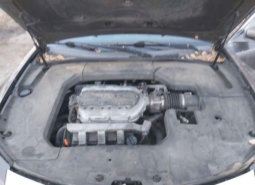 Photo 10 of 2009 Acura Tl 3.7 (VIN 19UUA96559A002700)