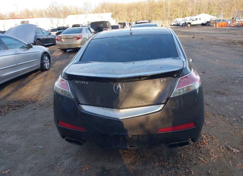 Photo 16 of 2009 Acura Tl 3.7 (VIN 19UUA96559A002700)