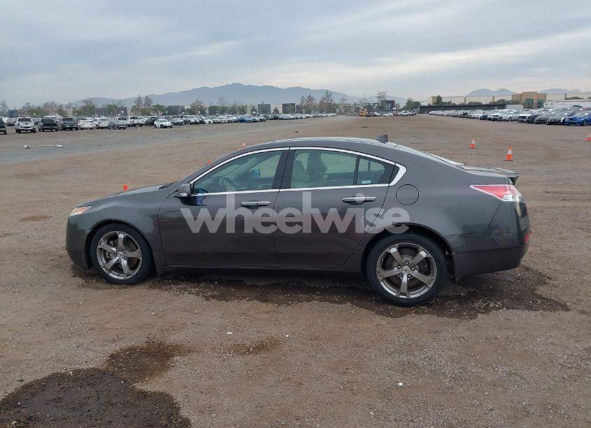 Photo 14 of 2009 Acura Tl 3.7 (VIN 19UUA96569A006240)