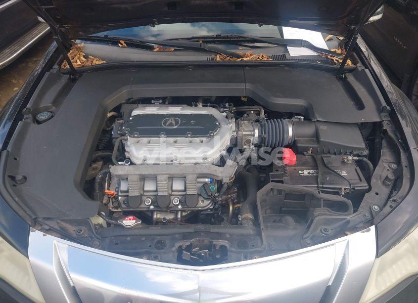 Photo 9 of 2009 Acura Tl 3.7 (VIN 19UUA96589A003081)