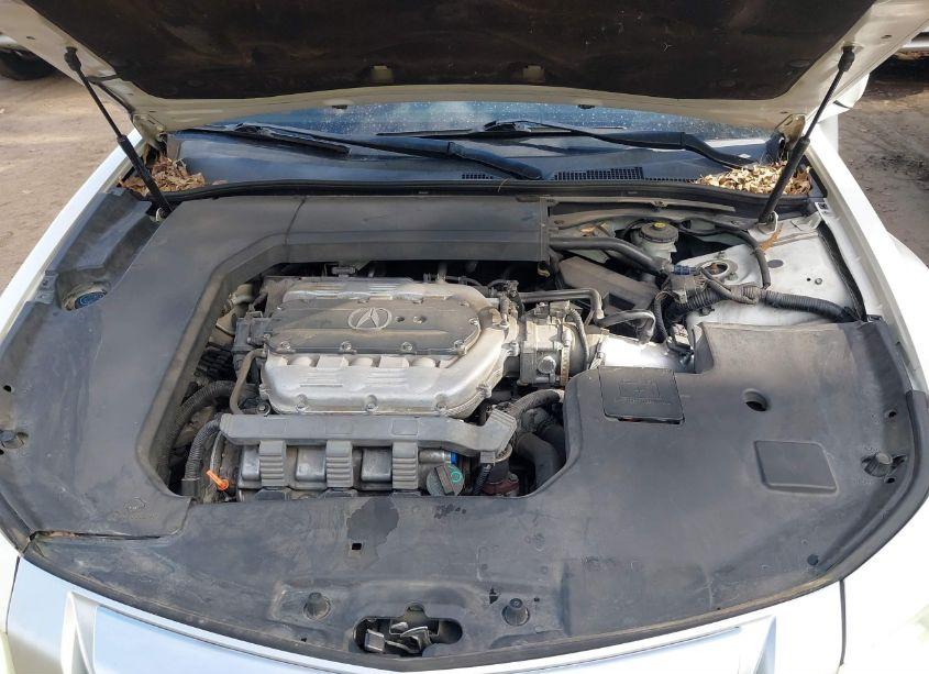 Photo 10 of 2010 Acura Tl 3.7 (VIN 19UUA9F54AA008475)