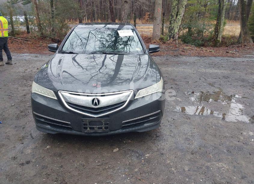 Photo 13 of 2015 Acura Tlx (VIN 19UUB1F34FA010487)