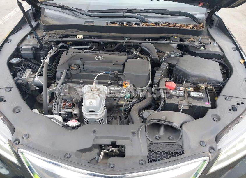 Photo 10 of 2015 Acura Tlx (VIN 19UUB1F35FA020509)