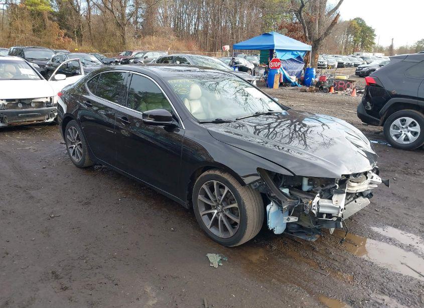 2015 Acura Tlx V6 (VIN 19UUB2F35FA010231) main photo
