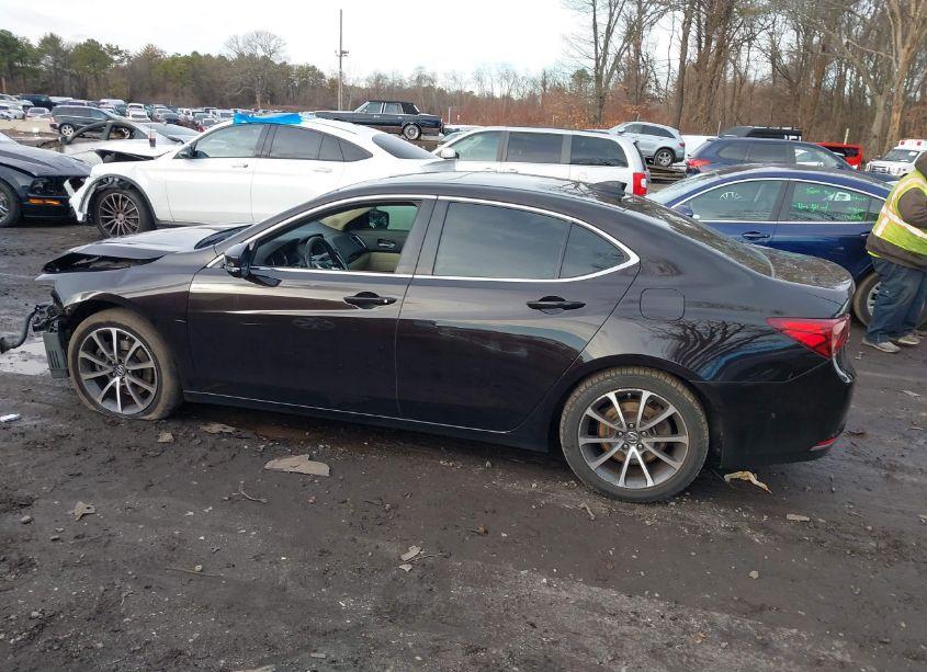 Photo 14 of 2015 Acura Tlx V6 (VIN 19UUB2F35FA010231)