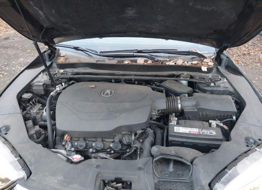 Photo 10 of 2018 Acura Tlx TECH PKG (VIN 19UUB2F5XJA010915)
